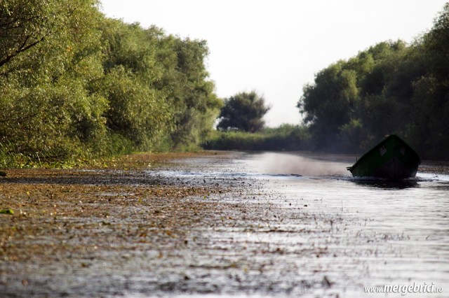 Calatorie in Delta Dunarii