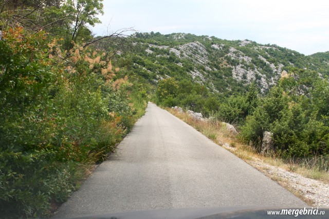 Drum ingust Muntenegru