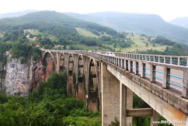 Pod canion Tara - Muntenegru